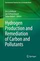 Hydrogen Production and Remediation of Carbon and Pollutants