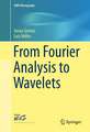 From Fourier Analysis to Wavelets