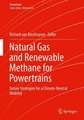 Natural Gas and Renewable Methane for Powertrains: Future Strategies for a Climate-Neutral Mobility