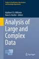 Analysis of Large and Complex Data