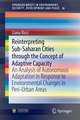 Reinterpreting Sub-Saharan Cities through the Concept of Adaptive Capacity: An Analysis of Autonomous Adaptation in Response to Environmental Changes in Peri-Urban Areas