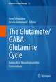 The Glutamate/GABA-Glutamine Cycle: Amino Acid Neurotransmitter Homeostasis