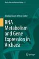 RNA Metabolism and Gene Expression in Archaea