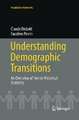 Understanding Demographic Transitions: An Overview of French Historical Statistics