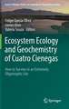 Ecosystem Ecology and Geochemistry of Cuatro Cienegas: How to Survive in an Extremely Oligotrophic Site