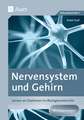 Nervensystem und Gehirn