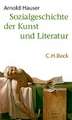 Sozialgeschichte der Kunst und Literatur