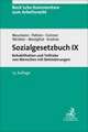 Sozialgesetzbuch IX