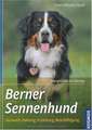 Berner Sennenhund