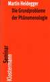 Die Grundprobleme Der Phanomenologie: Studien Zu Descartes' Philosophie