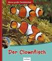 Der Clownfisch