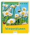 Wiesenblumen