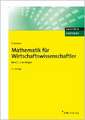 Mathematik für Wirtschaftswissenschaftler, Band 1