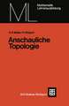 Anschauliche Topologie: Eine Einführung die elementare Topologie und Graphentheorie