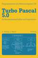 Turbo Pascal 5.0 für Naturwissenschaftler und Ingenieure