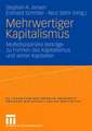 Mehrwertiger Kapitalismus: Multidisziplinäre Beiträge zu Formen des Kapitals und seiner Kapitalien