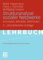 Strukturanalyse sozialer Netzwerke: Konzepte, Modelle, Methoden.