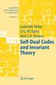 Self-Dual Codes and Invariant Theory