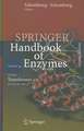Class 2 Transferases VII: EC 2.5.1.31 - 2.6.1.57