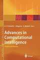 Advances in Computational Intelligence: Theory and Practice