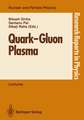 Quark—Gluon Plasma: Invited Lectures of Winter School, Puri, Orissa, India, December 5–16, 1989