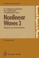 Nonlinear Waves 3: Physics and Astrophysics Proceedings of the Gorky School 1989