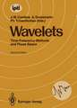 Wavelets: Time-Frequency Methods and Phase Space Proceedings of the International Conference, Marseille, France, December 14–18, 1987