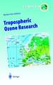 Tropospheric Ozone Research: Tropospheric Ozone in the Regional and Sub-regional Context