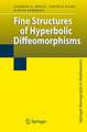 Fine Structures of Hyperbolic Diffeomorphisms
