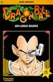 Dragon Ball 17. Son-Gokus Bruder