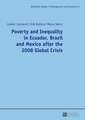 Poverty and Inequality in Ecuador, Brazil and Mexico After the 2008 Global Crisis: Ein Moderner Roman