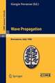 Wave Propagation: Lectures given at a Summer School of the Centro Internazionale Matematico Estivo (C.I.M.E.) held in Bressanone (Bolzano), Italy, June 8-17, 1980