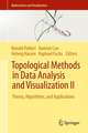 Topological Methods in Data Analysis and Visualization II: Theory, Algorithms, and Applications