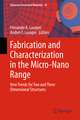 Fabrication and Characterization in the Micro-Nano Range: New Trends for Two and Three Dimensional Structures