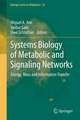 Systems Biology of Metabolic and Signaling Networks: Energy, Mass and Information Transfer