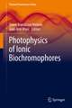 Photophysics of Ionic Biochromophores