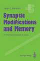 Synaptic Modifications and Memory: An Electrophysiological Analysis