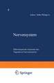 Nervensystem: Fünfter Teil Mikroskopische Anatomie des Vegetativen Nervensystems