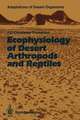 Ecophysiology of Desert Arthropods and Reptiles