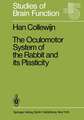 The Oculomotor System of the Rabbit and Its Plasticity