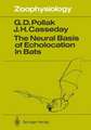 The Neural Basis of Echolocation in Bats