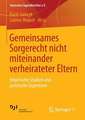 Gemeinsames Sorgerecht nicht miteinander verheirateter Eltern: Empirische Studien und juristische Expertisen