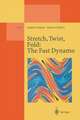 Stretch, Twist, Fold: The Fast Dynamo