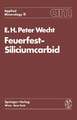 Feuerfest-Siliciumcarbid