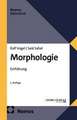 Morphologie