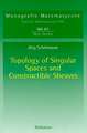 Topology of Singular Spaces and Constructible Sheaves