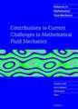 Contributions to Current Challenges in Mathematical Fluid Mechanics