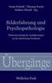 Bilderfahrung und Psychopathologie