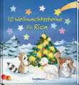 10 Weihnachtssterne für Rica