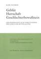 Geblut - Herrschaft - Geschlechterbewusstsein: Grundfragen Zum Verstandnis Des Adels Im Mittelalter